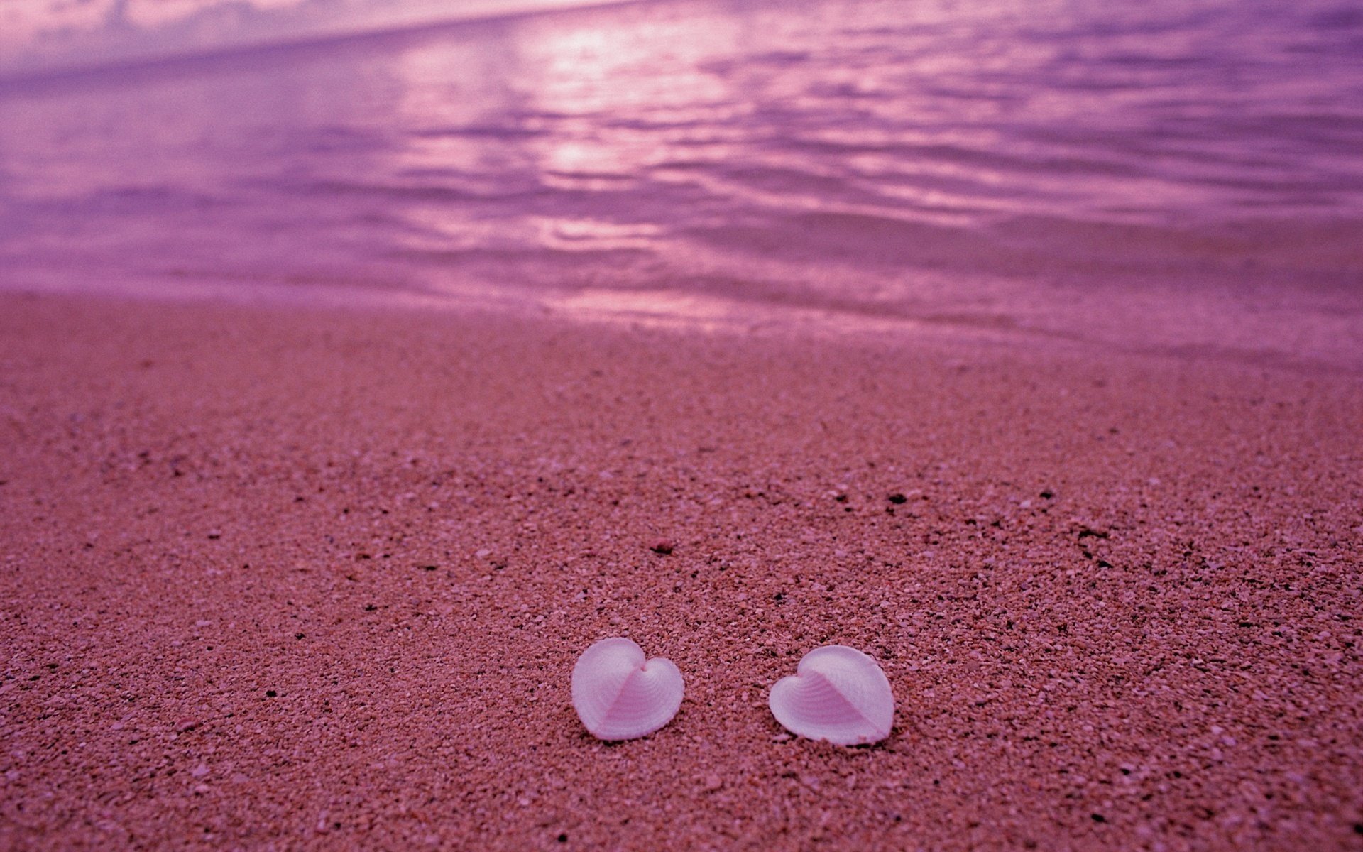 bord de mer deux coeurs sable plage été le coucher du soleil pétales tendresse photo