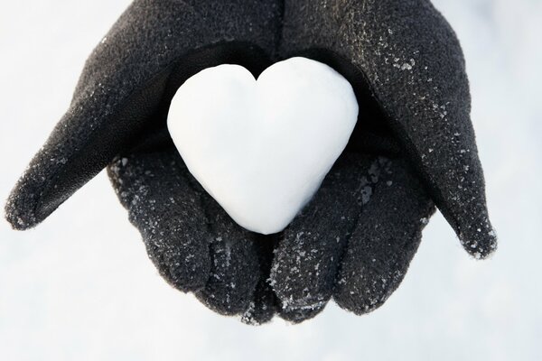 Coeur blanc de neige dans les paumes