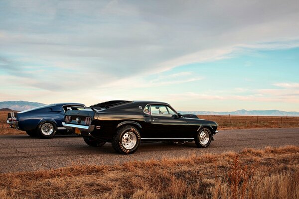 Voiture de course Mustang sur la photo