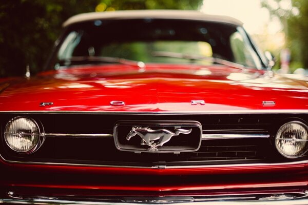 Voiture rouge Ford Mustang