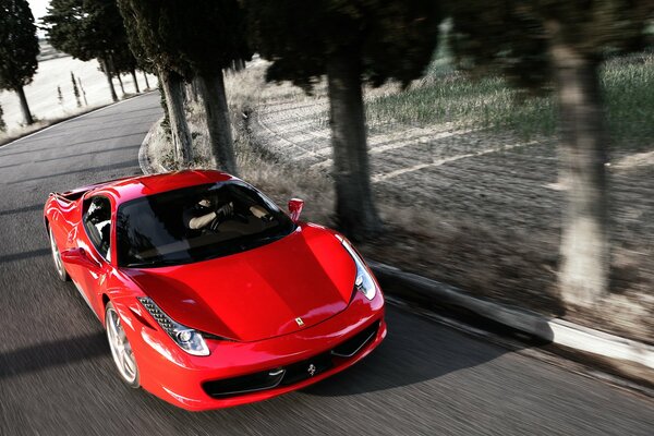 Ferrari asphalte, voiture de sport, en mouvement, rouge