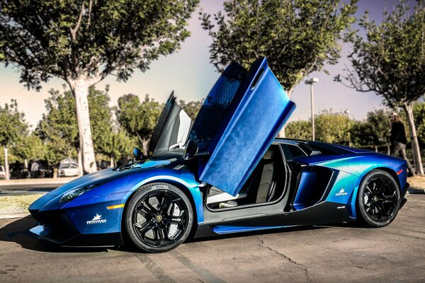 Lamborghini bleu près des arbres