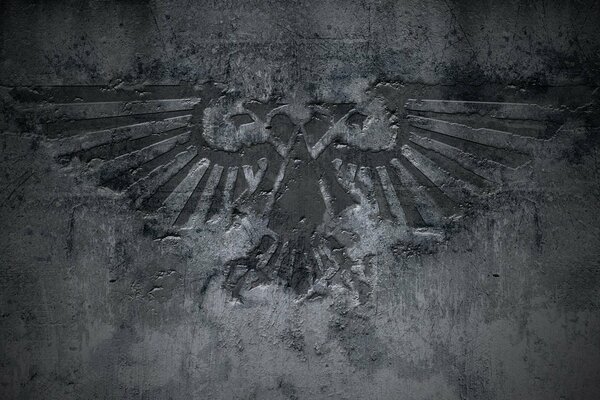 Aigle noir avec des ailes déployées sur un mur de béton