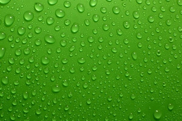 Gouttelettes d eau sur fond vert