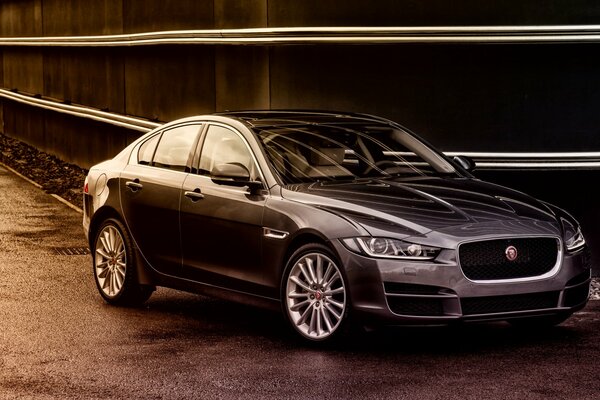 Jaguar noir debout sur l asphalte