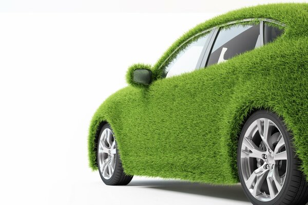Voiture décorée sous l herbe verte