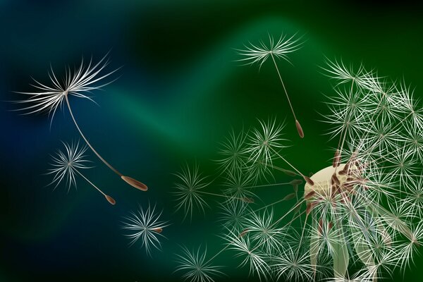 Créer des animations, des anamies 3D, des dessins, des titres pour votre site Web
