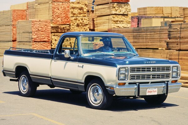 Sweptline pick-up 1979 d150 sur fond de planches