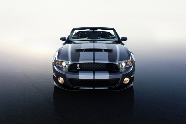 Seulement Ford Shelby dt 500 et rien d autre