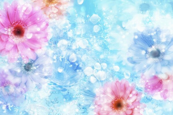 Collage de fleurs roses sur fond bleu