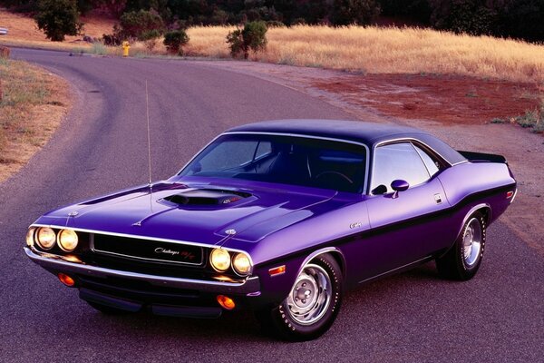 Voiture rétro Dodge Challenger se dresse sur la route