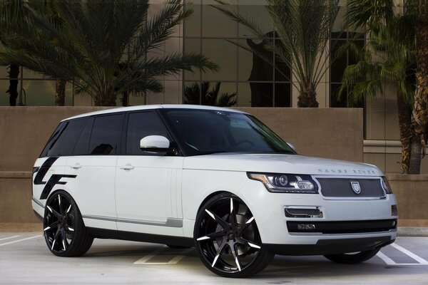 Marque de voiture blanche range Rover sur fond de palmiers