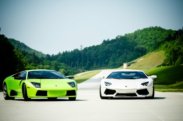 Deux Lamborghini mursilago vert et blanc