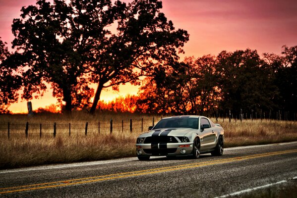 Une Ford Mustang argent sur la route sur fond de coucher de soleil