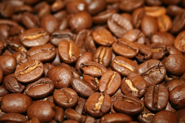 Beaucoup de grains de café en vrac