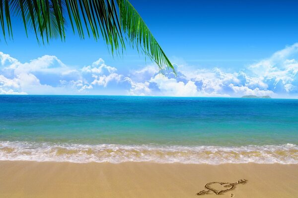 Photo de la plage avec la mer et une branche de palmier