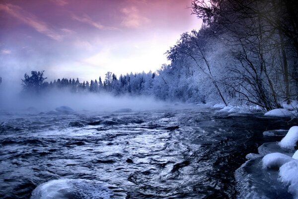 Paysage hivernal. rivière et forêt enneigée