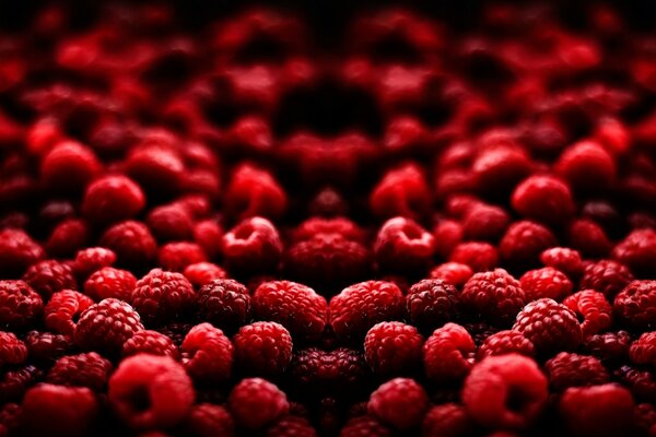 Beaucoup de framboises de différentes formes
