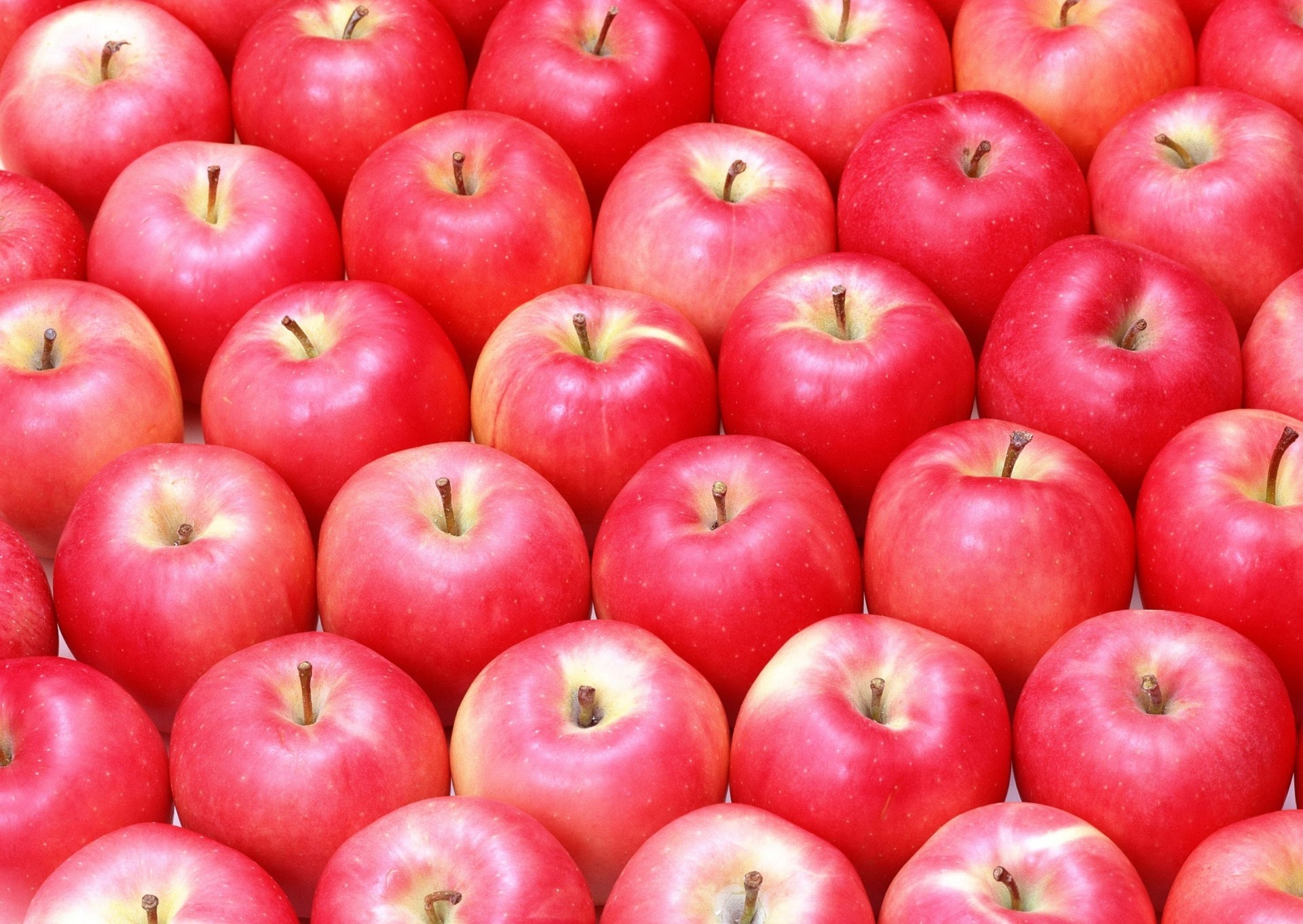 vue fruits appétissant pommes