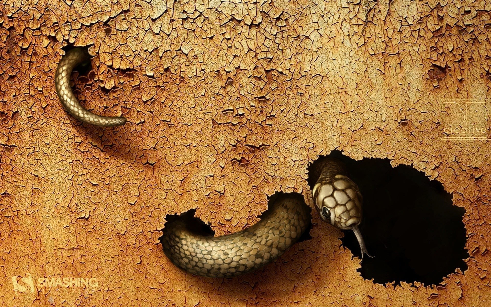 texture graphiques serpent