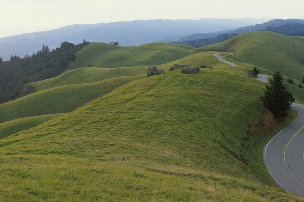 Collines verdoyantes avec la route