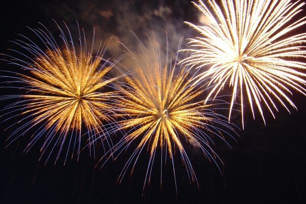 Salut de nuit lumineux avec des feux d artifice