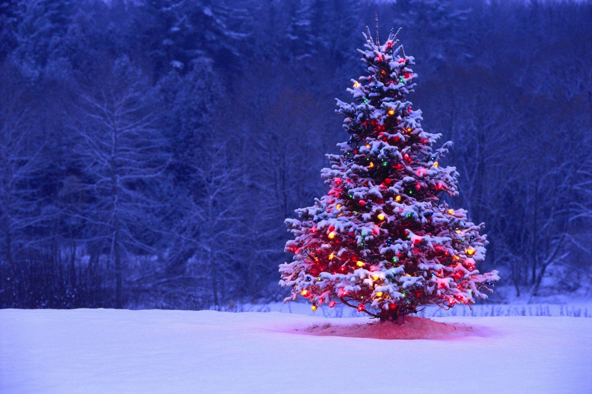 arbre de noël lumières rétro-éclairage neige