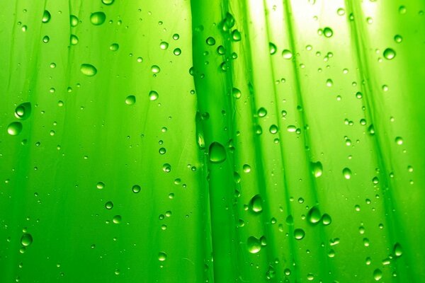 Rideau de douche vert avec des gouttes d eau