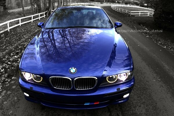 Belle BMW bleue dans le parc d automne