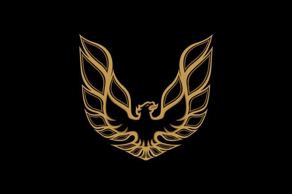 Phoenix logo de l équipe de football