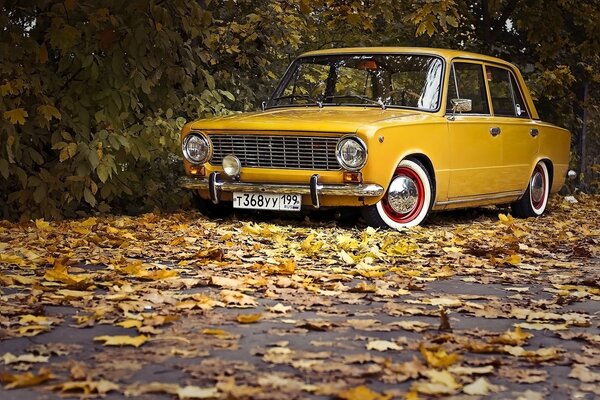 Rétro classique dans les feuilles d automne