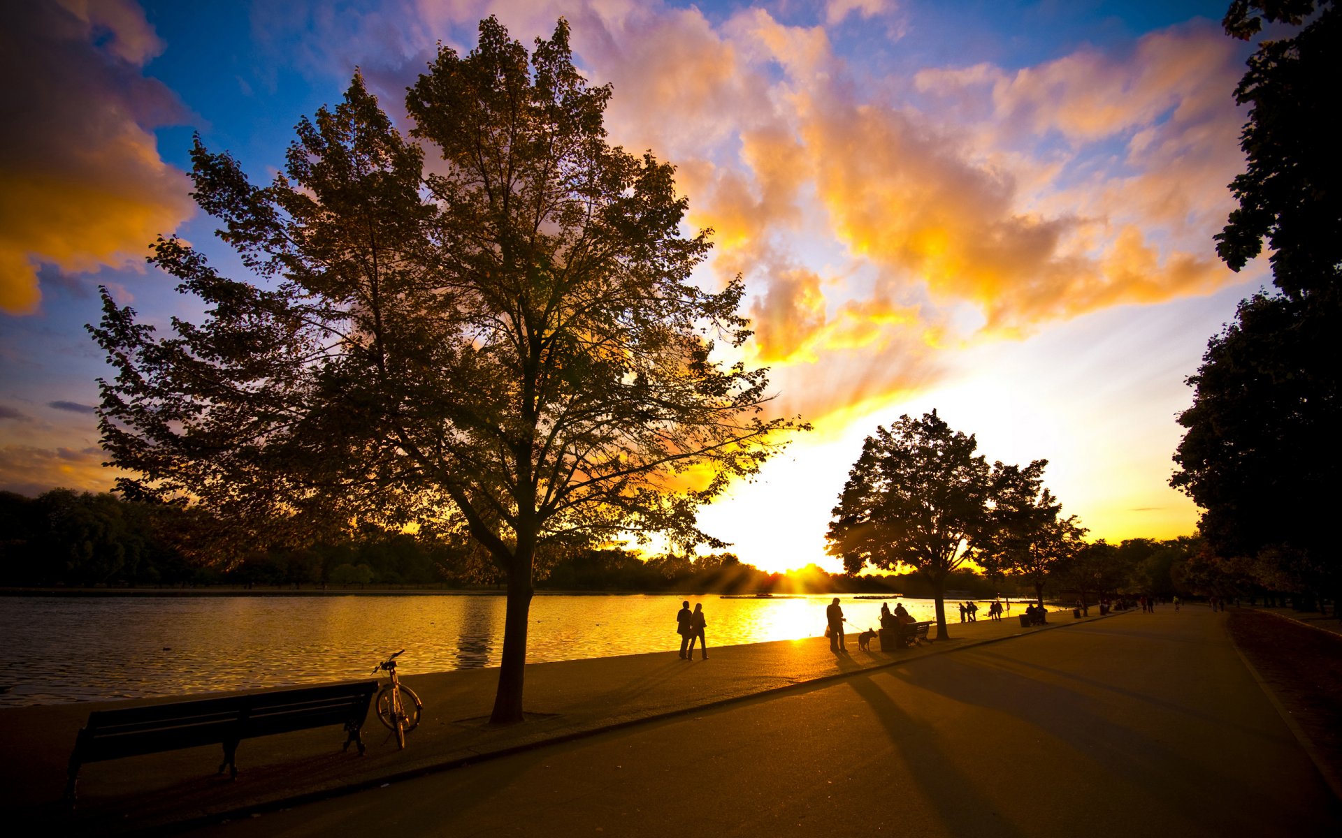 gens parc promenade vélo rivière été soirée arbres soleil ciel beau temps