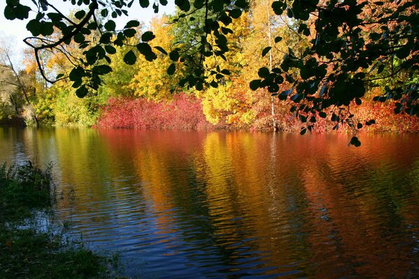 La nature à l automne est particulièrement riche en couleurs
