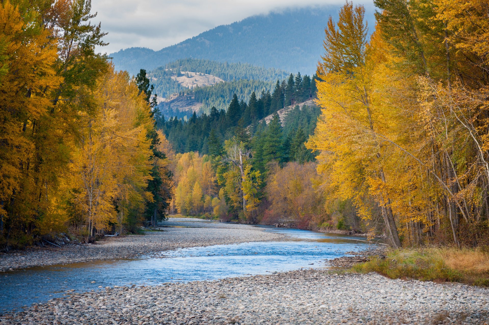états-unis état de washington montagnes forêt rivière automne