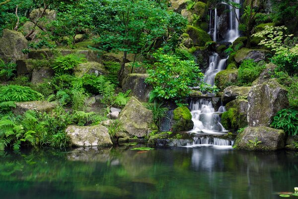 Pierres près de l eau dans la forêt