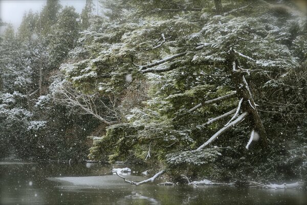Paysage d hiver en chute de neige