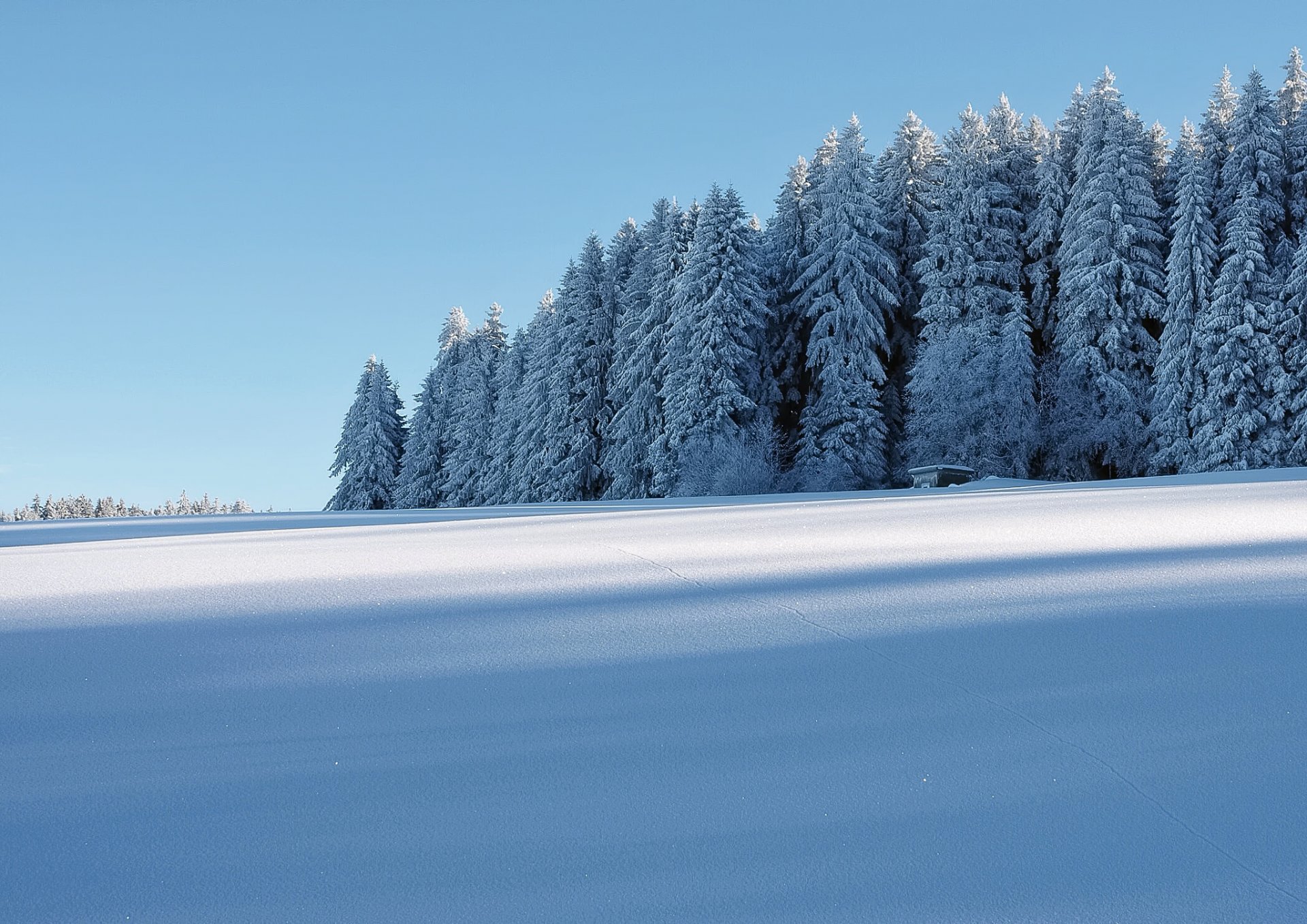 hiver neige forêt maison givre