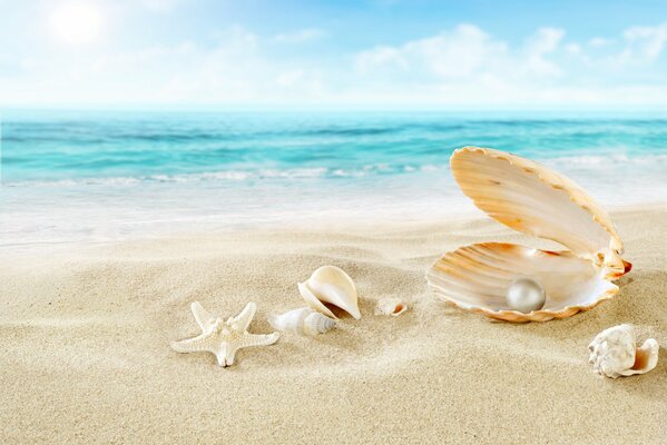 Étoile de mer près de perle sur la plage