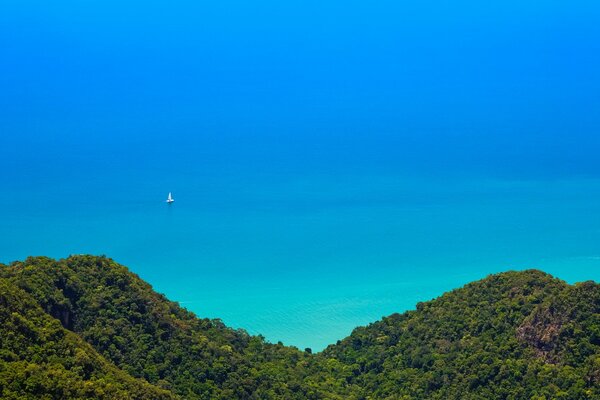 Vue de dessus de la jungle et turquoise de l océan magnifique