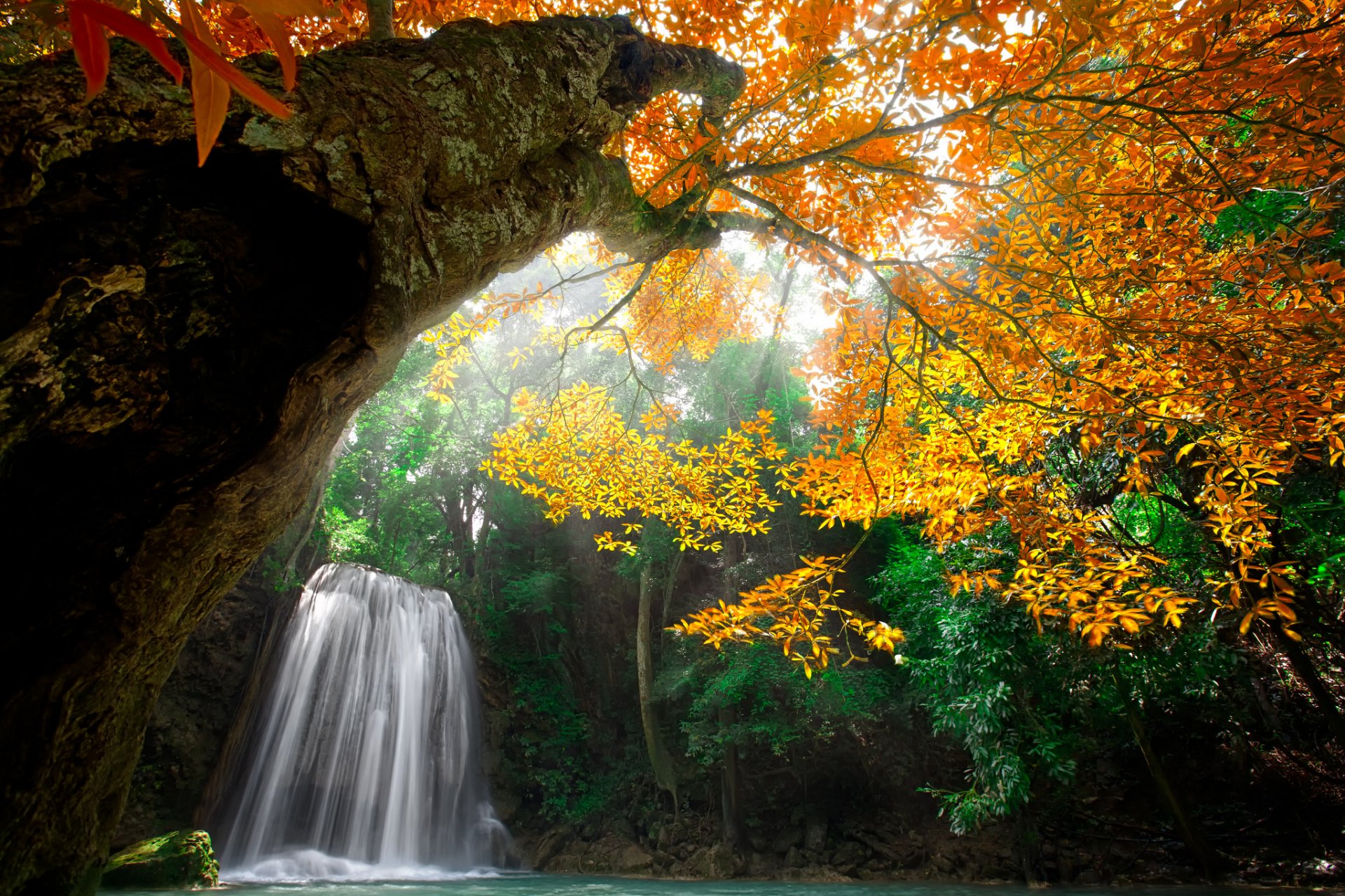 nature eau cascade forêt parc arbres feuilles coloré automne automne couleurs eau