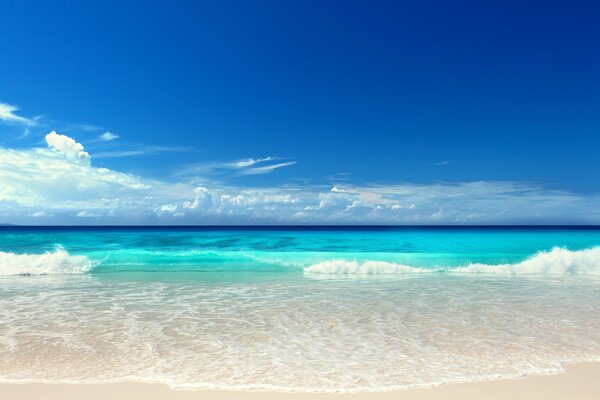 Paysage de la mer et de la plage en été
