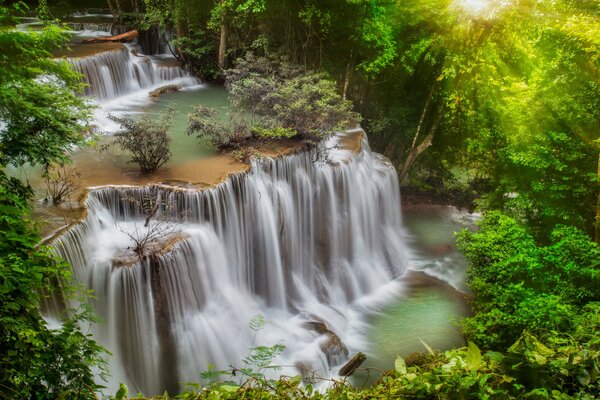 Cascade en Thaïlande dans la jungle verte