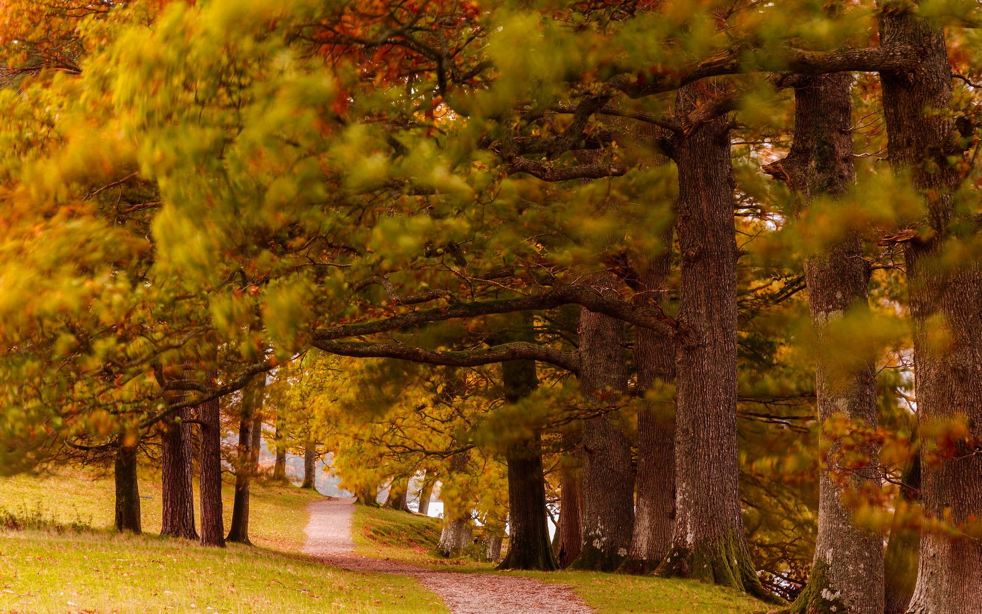 parc automne nature