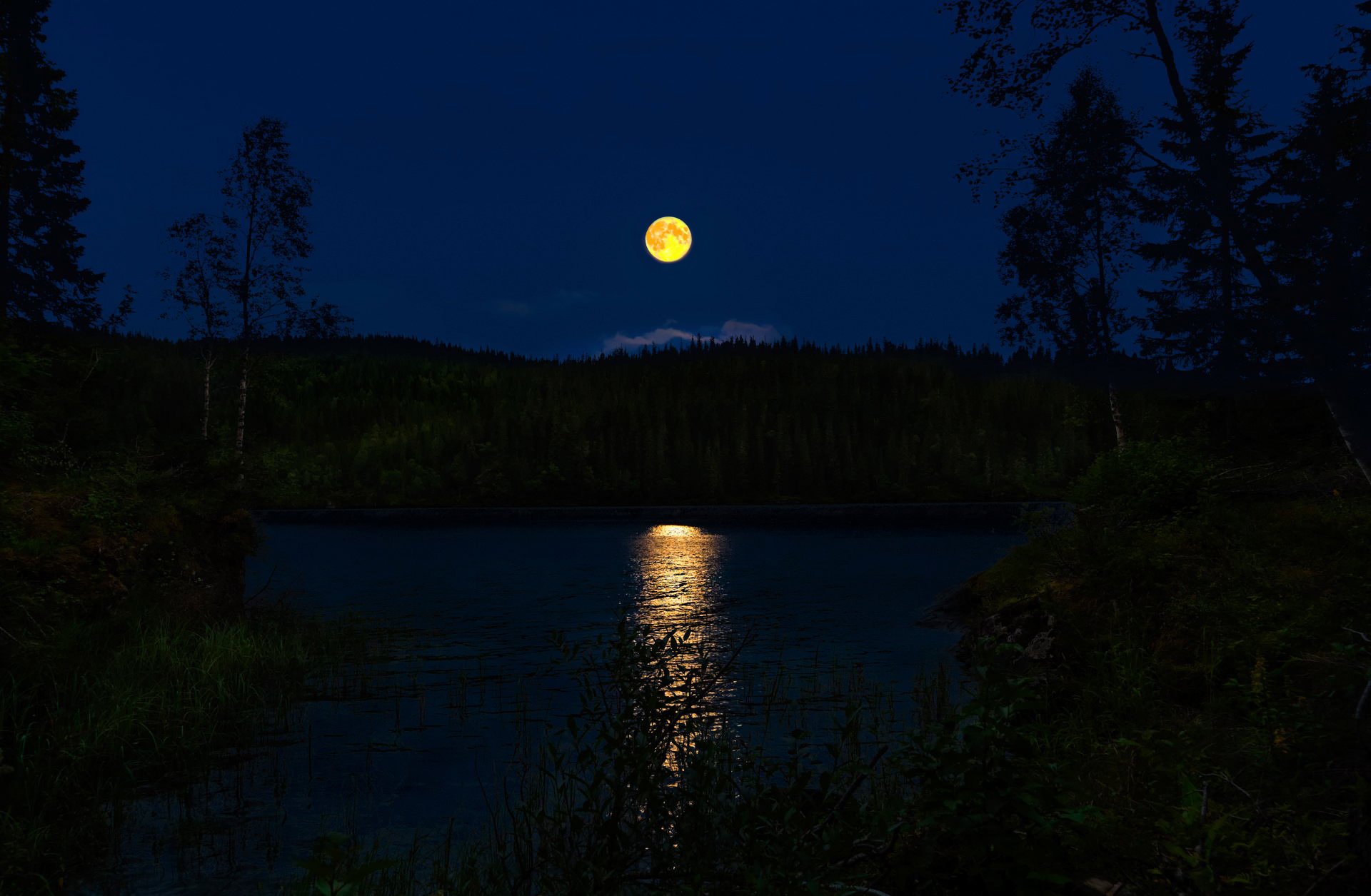 nuit norvège pleine lune chemin lunaire rivière forêt