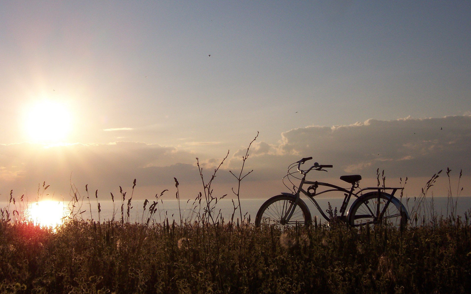 vélo soleil herbe