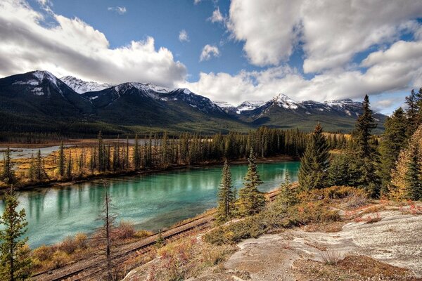 Rivière entre sapins et montagnes