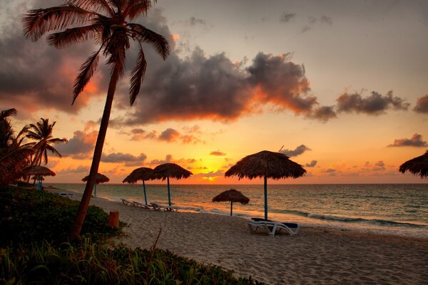Plage tropicale au coucher du soleil