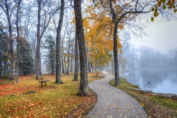 Le banc du parc offre une vue magnifique