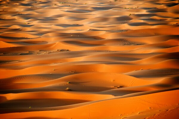 Les dunes du désert du Maroc rappellent la mer