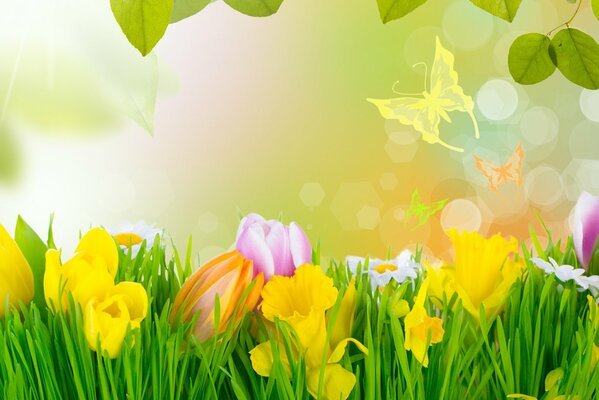 Fleurs jaunes et roses dans l herbe